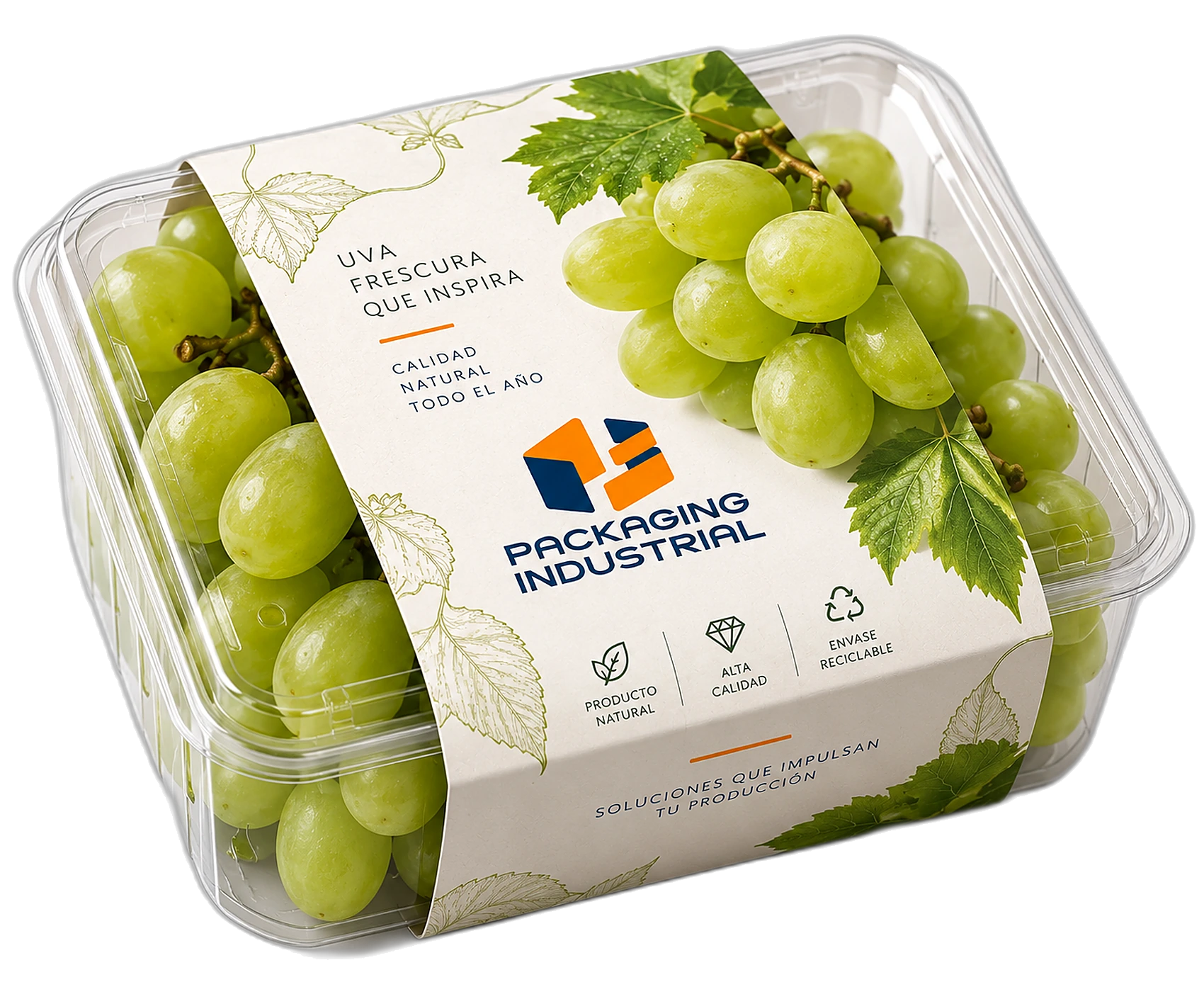 Fajas de Packaging Industrial